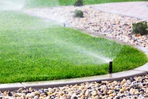 Automatic garden sprinklers watering a green lawn near a landscaped area with decorative stones.