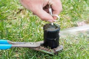 A person manually adjusts a sprinkler head with a tool on grassy ground.