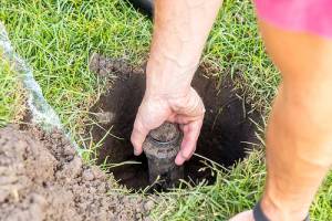 A person is installing a sprinkler head into a hole in a grassy lawn.