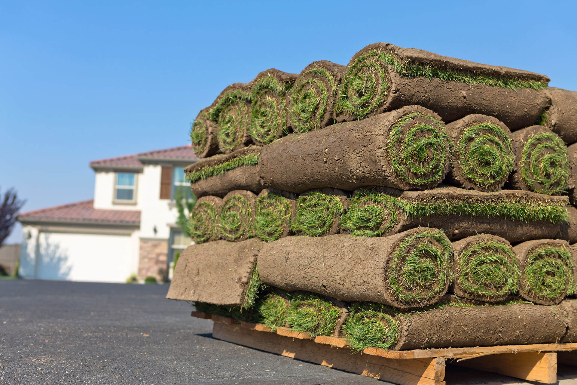 A pallet stacked with rolls of turf grass sits on a driveway in front of a two-story house on a clear day.